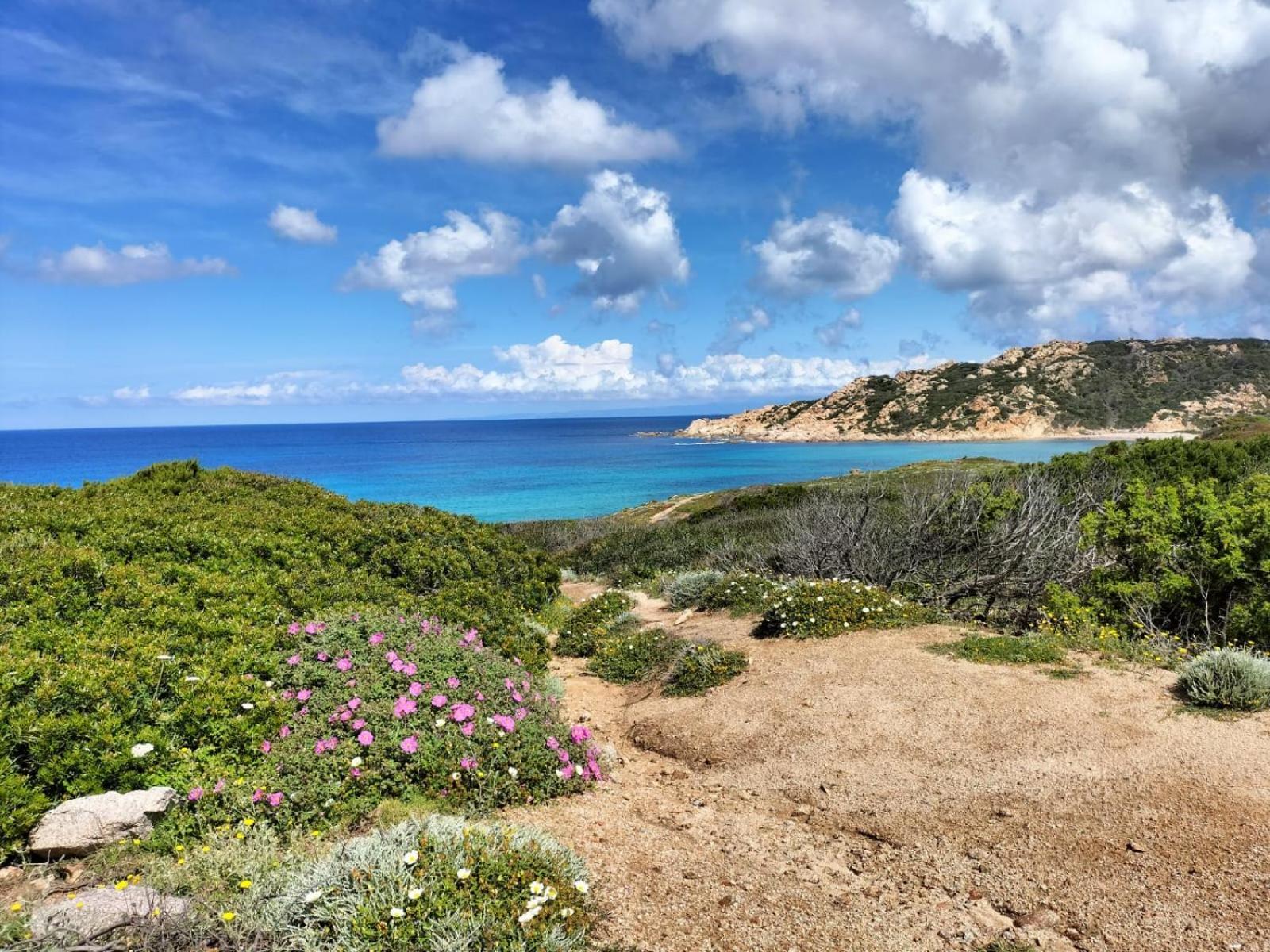 Residence Cala Rossa Изола Роса Екстериор снимка